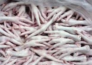 牲畜批發(fā)零售市場(chǎng)全解析 價(jià)格、廠家與全球采購(gòu)趨勢(shì)