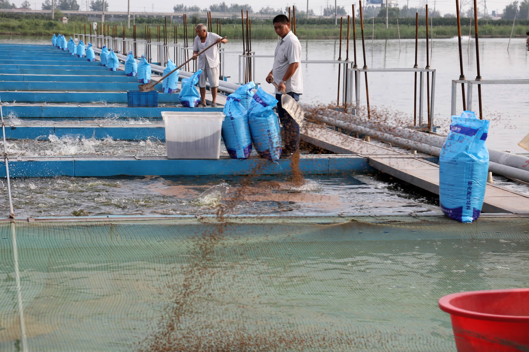 綠色引擎驅(qū)動(dòng)產(chǎn)業(yè)升級(jí)——市農(nóng)辦主任、農(nóng)業(yè)農(nóng)村局局長(zhǎng)楊中校赴德清調(diào)研水產(chǎn)養(yǎng)殖業(yè)綠色發(fā)展